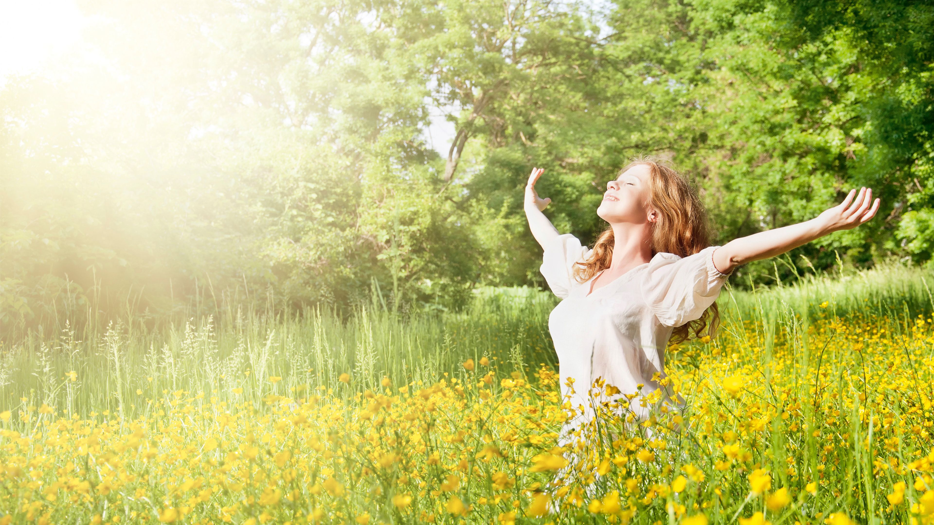 vw volkswagen klima sonne wiese